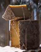 Tome des bauges (hard cheese, France)