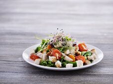 Tomatensalat mit Hähnchen und Sprossen