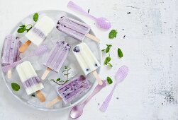 Homemade blueberry ice cream sticks