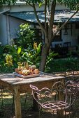 Seating area in garden with collection of cacti on weathered wooden table surrounded by ornate, metal vintage chairs