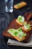 Bruschetta topped with yoghurt cream and iceberg lettuce