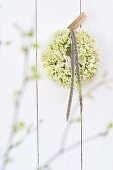Wreath of green carnations tied with black and white striped ribbon