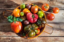 Various types of tomatoes in an orange, enamel sieve on a wooden surface