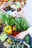 Frisches Gemüse und Kräuter vom Markt