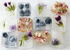 Blumen und Früchte, in Eiswürfel eingefroren