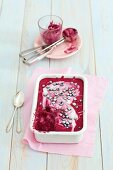 Homemade blueberry ice cream