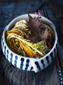 Sobanudeln mit Matchatee, Gemüsestreifen und Sesam (Japan)