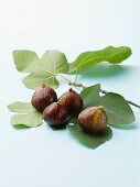 Fresh figs with leaves