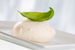 Buffalo mozzarella topped with a basil leaf