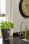 Herbs in grey ceramic pot on black stone worksurface with integrated sink and vintage tap fitting