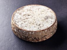 Tomme de savoie (French cow's milk cheese)