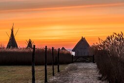 Sonnenaufgang am Bodden, Darß - Vorpommersche Boddenlandschaft