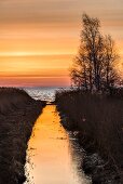 Sonnenaufgang am Bodden, Darß - Vorpommersche Boddenlandschaft