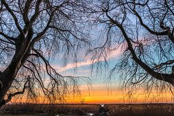 Sonnenaufgang am Bodden, Darß - Vorpommersche Boddenlandschaft