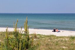 The beach at Schaabe – spit on the Baltic Sea island of Rügen