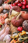 Herbstliches Stillleben mit Kürbissen und Granatäpfeln auf Markt