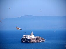 Seagulls circling over the island of Penon de Alhucemas (Al Hoceima) 300 m of the Moroccan Mediterranean coast (belongs to Spain)