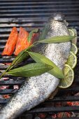 A whole trout filled with lemon on a barbecue