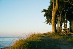 Dusk on the rocky coast near Bad Doberan, Baltic Sea coast