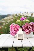 Kleine Laterne, weiss lackiert, vor Schüssel mit rosa Hortensien auf Gartentisch