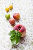 Greengages, yellow plums and a white peach with a leaf