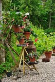 Vintage Blumenständer mit Blumentöpfen auf Kiesboden im Garten