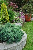 Flowering herbaceous border with stone border in garden