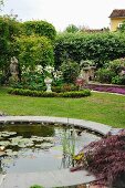 Water lilies in round pond in summery garden