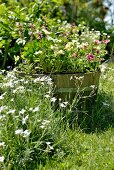 Blühende Blumen und bepflanzter Holzzuber in sommerlichem Garten