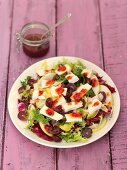 Chicory and radicchio salad with Camembert, grapes, apple and cranberry vinaigrette