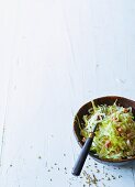 White cabbage salad with bacon