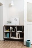 Books, light blue, retro milk churns, white terrarium and framed drawing on open-fronted shelves in living area