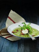 Cream of pea soup with bacon, crème fraîche and pea sprouts