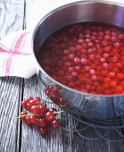 Redcurrant juice being made