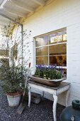 Trough of flowering plants on rustic table below lattice window in whitewashed façade