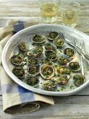 Clams with herbs and white wine