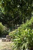 Antritt einer Steintreppe mit eisernem Handlauf in dicht bewachsenem, mediterranem Garten