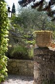 Weg und altes Natursteinmäuerchem mit Tontopf vor beranktem Hauseck, mediterrane Bepflanzung im Garten