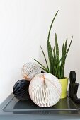 Honeycomb paper balls and house plant on grey metal cabinet