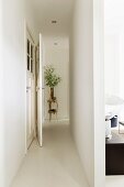 Narrow white corridor leading to vase of leaves on plant stand; open doorway to one side