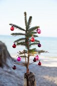 A pine spring stuck into a wooden stake and decorated with mini baubles with the sea in the background