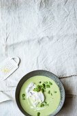 Cream of bean soup with ginger and cream cheese