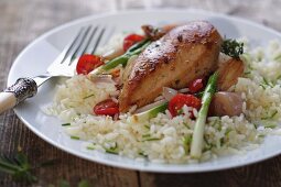 Chicken breast with onions and tomatoes on a bed of rice