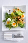 A garden salad with soft-boiled eggs and toast soldiers