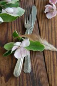Silver cutlery, quince flower and feather