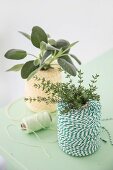 A roll of kitchen twine decorated with a bunch of fresh herbs