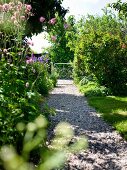 Flowering plants in summery garden with gravel path leading to ornate, metal garden gate