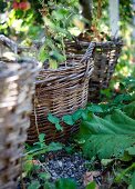 Weidenkörbe in Reihe auf Boden im Garten