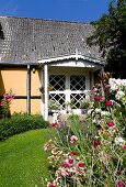 Flowering pinks in garden and country house in background in sunlight