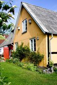 Yellow-painted house with climbing roses and flowerbed against façade